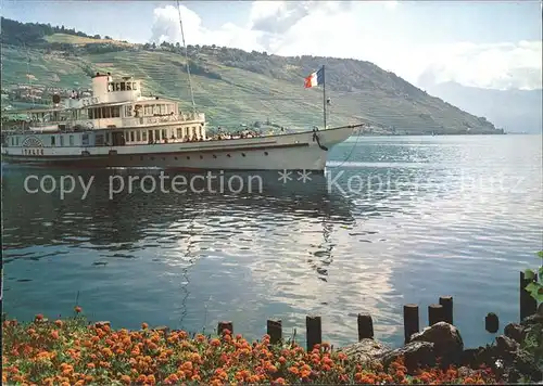 Dampfer Binnenschifffahrt Italie Lac Leman Genfersee  Kat. Schiffe