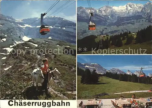 Seilbahn Chaeserrugg Ziegen Unterwasser Obertoggenburg  / Bahnen /