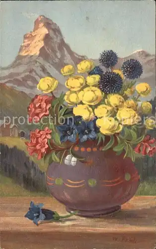 Frueh W. Enzian Trollblume Alpenrosen Matterhorn Kat. Kuenstlerkarte