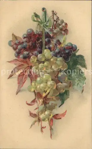 Obst Trauben Weinblaetter Kat. Lebensmittel