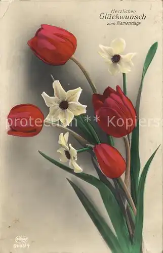 Verlag Amag Nr. 64195 4 Namenstag Tulpen Narzissen Kat. Albrecht & Meister AG