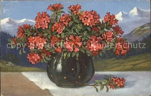 Frueh W. Alpenrosen Vase Kat. Kuenstlerkarte