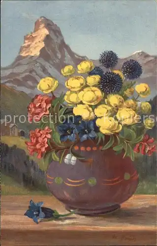 Frueh W. Alpenrose Enzian Trollblume Kat. Kuenstlerkarte