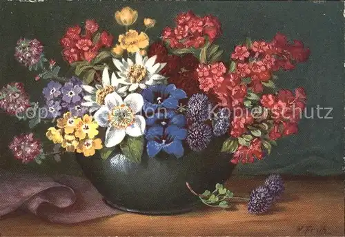 Frueh W. Alpenrose Enzian Schluesselblumen Kat. Kuenstlerkarte