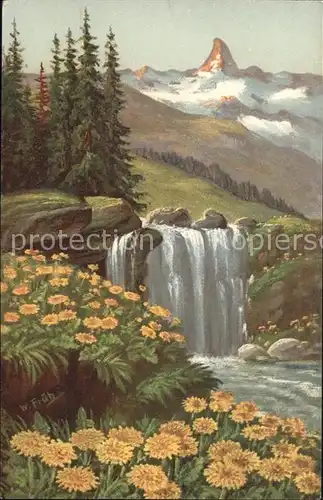 Frueh W. Goldpippau Wasserfall  Kat. Kuenstlerkarte