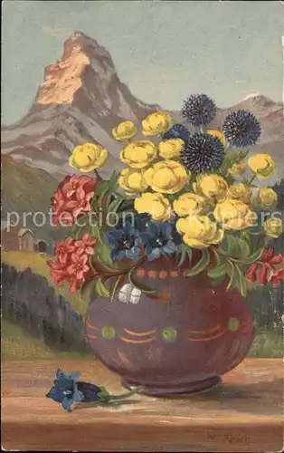 Frueh W. Trollblumen Alpenrosen Enzian Matterhorn Kat. Kuenstlerkarte