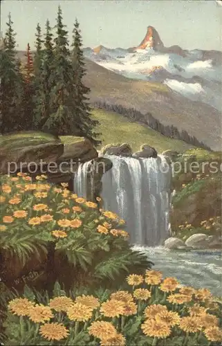 Frueh W. Wasserfall Tannen Goldpippau Kat. Kuenstlerkarte