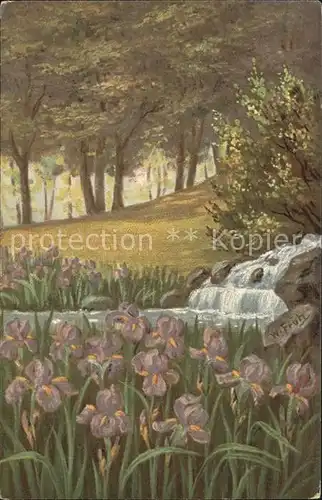 Frueh W. Lilien Wasserfall Laubbaeume Kat. Kuenstlerkarte