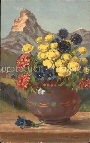 Frueh W. Alpenrosen Trollblumen Enzian Kat. Kuenstlerkarte