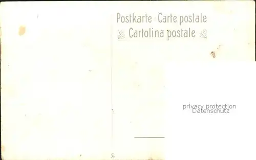 Frueh W. Alpenrosen Edelweiss Enzian Kat. Kuenstlerkarte