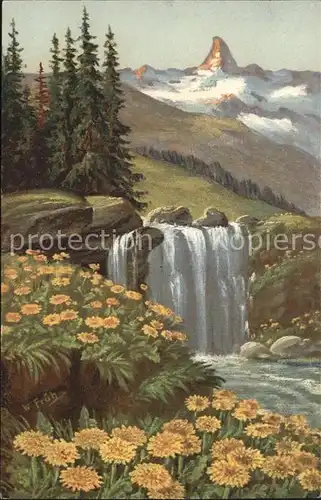 Frueh W. Wasserfall Goldpippau  Kat. Kuenstlerkarte