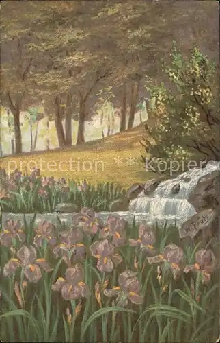 Frueh W. Wasserfall Lilien Kat. Kuenstlerkarte