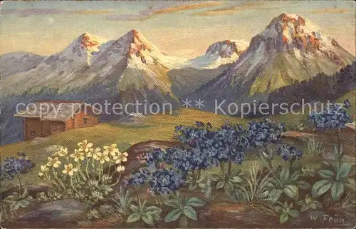 Frueh W. Primeln Berge Kat. Kuenstlerkarte
