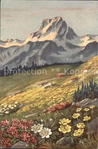 Frueh W. Anemonen Alpenrosen Berge Kat. Kuenstlerkarte