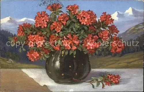 Frueh W. Alpenrosen Vase Berge Kat. Kuenstlerkarte