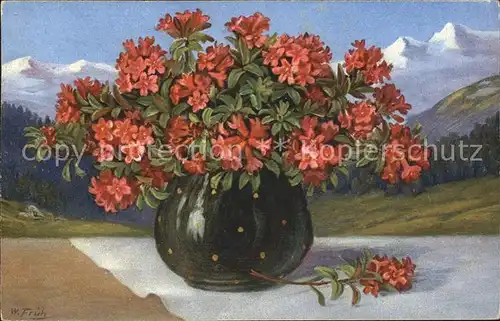 Frueh W. Alpenrosen Vase Berge Kat. Kuenstlerkarte