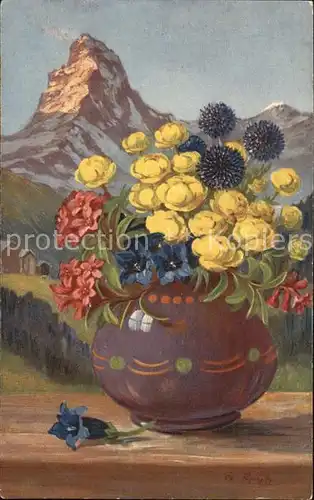 Frueh W. Alpenrosen Trollblume Enzian  Kat. Kuenstlerkarte
