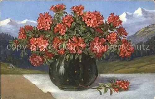Frueh W. Alpenrosen Vase Berge Kat. Kuenstlerkarte