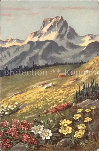 Frueh W. Alpenrosen Anemonen Berg Kat. Kuenstlerkarte