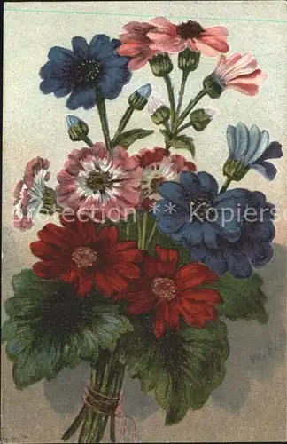 Frueh W. Blumenstrauss Kat. Kuenstlerkarte