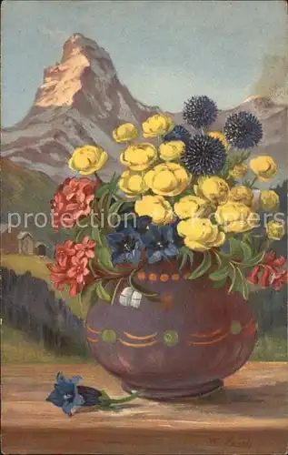 Frueh W. Alpenrosen Enzian Trollblume Kat. Kuenstlerkarte