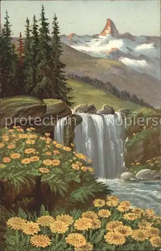 Frueh W. Wasserfall Goldpippau Kat. Kuenstlerkarte