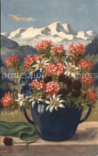 Frueh W. Alpenrosen Enzian Edelweiss Kleeblumen Kat. Kuenstlerkarte