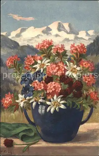 Frueh W. Alpenrosen Edelweiss Enzian Vase Kat. Kuenstlerkarte