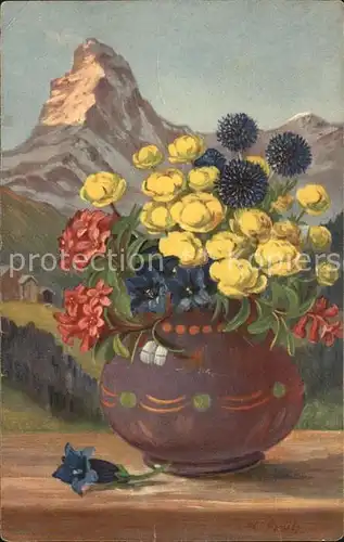 Frueh W. Enzian Trollblumen Alpenrosen Kat. Kuenstlerkarte