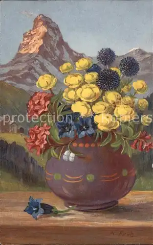 Frueh W. Alpenrosen Trollblumen Enzian  Kat. Kuenstlerkarte