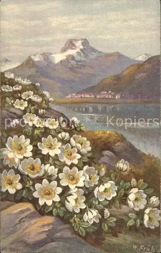 Frueh W. 575 Anemonen  Kat. Kuenstlerkarte