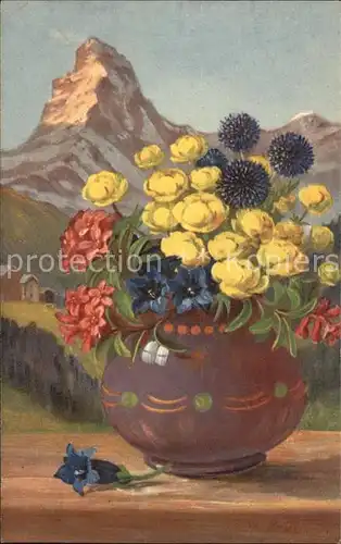 Frueh W. Trollblumen enzian Alpenrosen  Kat. Kuenstlerkarte