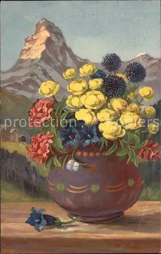 Frueh W. Alpenrosen Enzian Trollblumen  Kat. Kuenstlerkarte