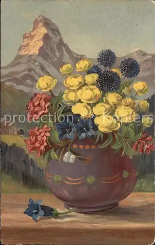 Frueh W. Alpenrosen Enzian Trollblumen Kat. Kuenstlerkarte