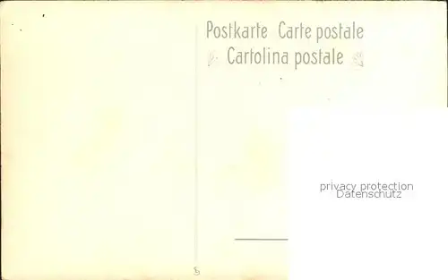 Frueh W. Edelweiss Alpenrosen Enzian Kat. Kuenstlerkarte