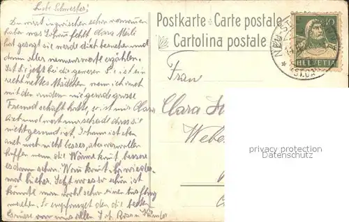 Frueh W. Enzian Edelweiss Anemonen Astern Kat. Kuenstlerkarte