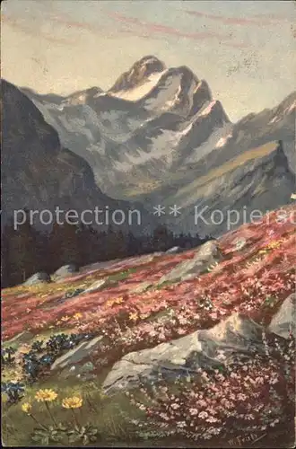 Frueh W. Alpenrosen Enzian Berge Kat. Kuenstlerkarte