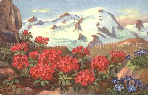 Frueh W. 582 Alpenrosen Enzian Berge Kat. Kuenstlerkarte