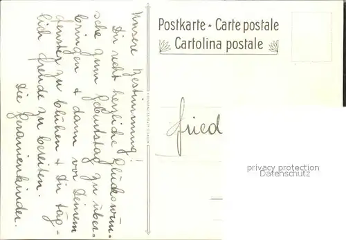 Frueh W. Alpenrosen Edelweiss Primeln Enzian Kat. Kuenstlerkarte