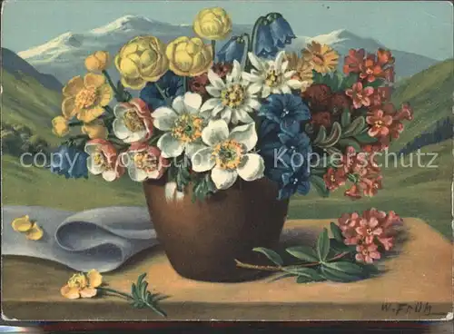 Frueh W. Anemonen Edelweiss Glockenblumen Trollblumen Kat. Kuenstlerkarte
