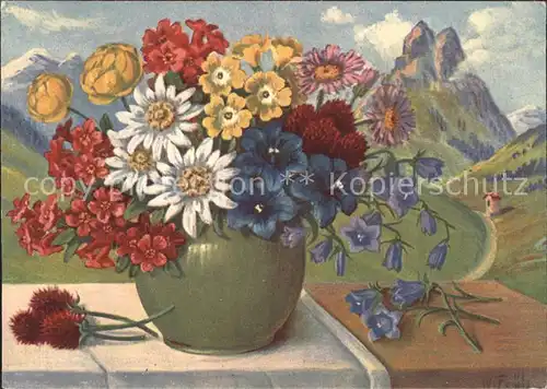 Frueh W. Trollblumen Glockenblumen Enzian Edelweiss Kat. Kuenstlerkarte