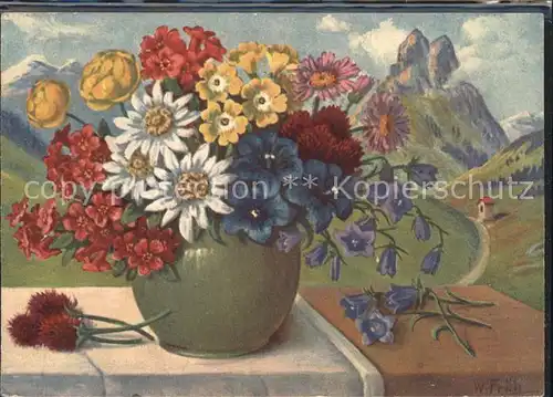 Frueh W. Edelweiss Primeln Trollblumen Enzian Glockenblumen Kat. Kuenstlerkarte
