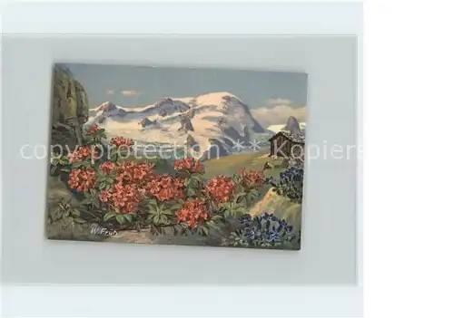 Frueh W. Enzian Alpenrosen Huette Kat. Kuenstlerkarte