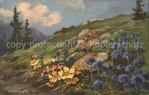 Derendinger Roux D. 192 Fleurs des Alpes Alpenblumen Anemonen  Kat. Kuenstlerkarte