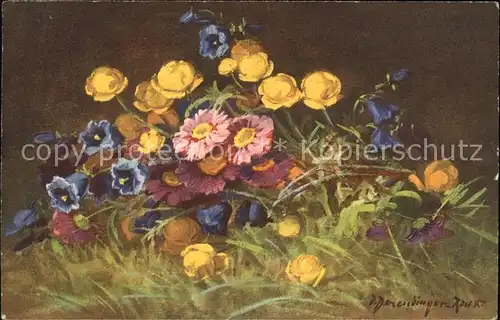 Derendinger Roux D. 208 Trollblumen Glockenblumen  Kat. Kuenstlerkarte