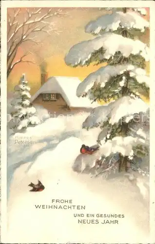 Petersen Hannes Weihnachten Neujahr Kleiber Haus Winterlandschaft Kat. Kuenstlerkarte