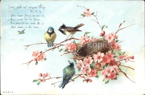 Voegel Blumen Psalm 139 24 Litho  Kat. Tiere