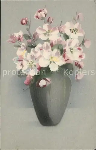 Blumen Vase  Kat. Pflanzen