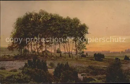 Baeume Trees In einsamer Heide  Kat. Pflanzen