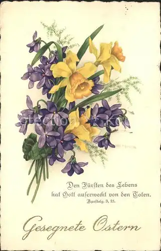 Blumen Narzissen Ostern  Kat. Pflanzen